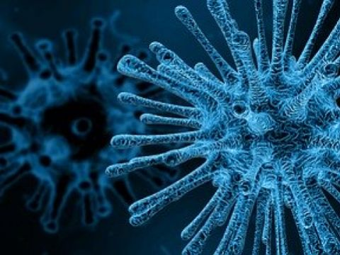 Koronavirüs Hastalığı İş Kazası Olarak Değerlendirilebilir Mi? İşverenin Yükümlülükleri Nelerdir?